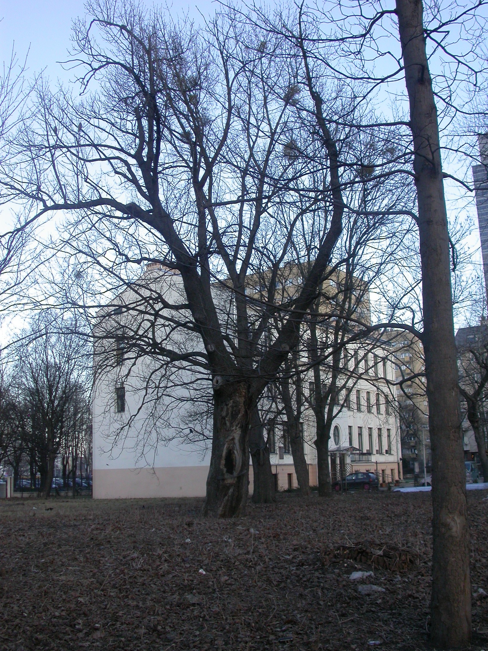DSCN1211